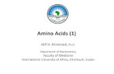 Amino Acids (1) IUA, 2012