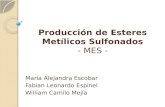 Producción de Esteres Metílicos Sulfonados
