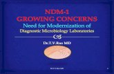 NDM - 1 Role of Microbiology Laboratories