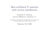 Non-confluent P systems with active membranes