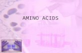 Amino Acids Ppt