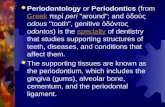 1 the Tissues of the Periodontium