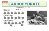 Kuliah3 S1 Biokim2 Karbohidrat