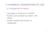 Chemical Foundation of Life (Student's Version)