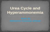 Urea Cycle &Hyperammonimias New