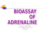 Bioassay of Adrenaline