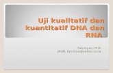 Uji Kualitatif Dan Kuantitatif DNA Dan RNA 2010