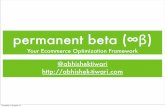 permanent beta (∞β):Your Ecommerce Optimization Framework