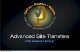 JD11NL - Advanced Site Transfers with Akeeba Backup