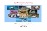 Endangered species- 3ο ΔΣ Ελευσίνας
