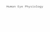 61 humaneyephysiology