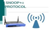 Tcp snoop protocols