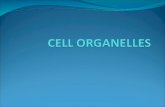 Cell organelles