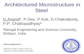 Architectured Microstructures in Steel