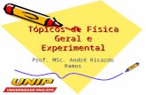 Tópicos de Física Geral e Experimental - I