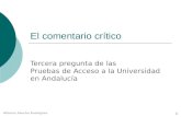 Alfonso Sancho Rodríguez 1 El comentario crítico Tercera pregunta de las Pruebas de Acceso a la Universidad en Andalucía.