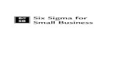 Six sigma for small business