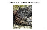 1 TEMA 4.1. BIODIVERSIDAD. 2 Biodiversidad (del griego βιο-, vida, y del latín diversĭtas, - ātis, variedad), también llamada diversidad biológica, es