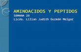 AMINOACIDOS Y PEPTIDOS SEMANA 29 Licda. Lilian Judith Guzmán Melgar.