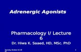 L6: adrenergic neurotransmition/ agonists