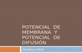 POTENCIAL DE MEMBRANA Y POTENCIAL DE DIFUSIÓN Biofìsica 2014.