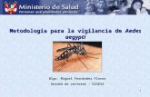1 Metodolog­a para la vigilancia de Aedes aegypti Blgo. Miguel Fernndez Flores Unidad de vectores - DIGESA
