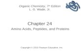 24 - Amino Acids, Peptides, and Proteins - Wade 7th