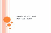 2. amino acids and peptide bond