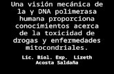 Una visión mecánica de la γ DNA polimerasa humana proporciona conocimientos acerca de la toxicidad de drogas y enfermedades mitocondriales. Lic. Biol