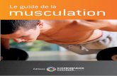 Le guide de la musculation