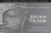 Abiding in Mindfulness Volume 1 SG