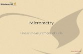 Micrometry Linear measurement of cells. Units of measurement in cell study Millimeter (mm) – 1mm=0.001m Micrometer (μm) – 1μm=0.001mm=0.000 001m Nanometer.