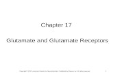 1 Chapter 17 Glutamate and Glutamate Receptors Copyright © 2012, American Society for Neurochemistry. Published by Elsevier Inc. All rights reserved.