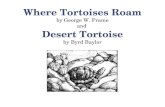 Where Tortoises Roam by George W. Frame and Desert Tortoise by Byrd Baylor.