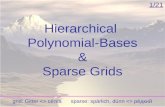 Hierarchical Polynomial-Bases & Sparse Grids 1/21 grid: Gitter  сéтка sparse: spärlich, dünn  рéдкий.