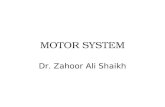 MOTOR SYSTEM Dr. Zahoor Ali Shaikh. TRANSVERS SECTION OF SPINAL CORD.