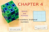 ROOTS and POWERS Rational numbers, irrational numbers CHAPTER 4