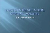 Prof. Ashraf Husain.  Positive ionotropic effect. Sympathetic stimulation Adrenaline & Noradrenaline Calcium ion Caffine Drugs eg. Digitalis.