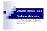 Diabetes Mellitus Tipo 2 e Sind Metab³lica