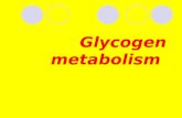 Glycogen metabolism. Glycogen is homopolysaccharide formed of branched α-D- GLUCOSE units (α1,4and α1,6) each branch is made of 6-12 glucose units, at.
