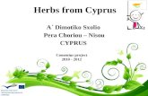 Herbs from Cyprus Α΄ Dimotiko Sxolio Pera Choriou – Nisou CYPRUS Comenius project 2010 - 2012.