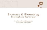 Biomass & Bioenergy Potential and Technology Claus Felby, Forest & Landscape, University of Copenhagen.