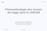 13 juin 2008Julien Baglio Phénoménologie des bosons de Higgs dans le nMSSM Présentation du projet bibliographique Master 2 de physique théorique de Paris.