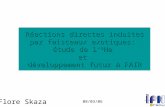 Flore Skaza Réactions directes induites par faisceaux exotiques: étude de l 8 He et développement futur à FAIR 08/03/06.