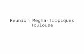 Réunion Megha-Tropiques Toulouse. Simulation Géométrique.
