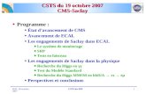 M.D. 19-octobre-2007CSTS du SPP1 CSTS du 19 octobre 2007 CMS-Saclay Programme : État davancement de CMS Avancement de ECAL Les engagements de Saclay dans.