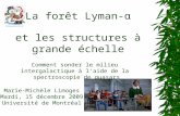 La forêt Lyman-α et les structures à grande échelle Marie-Michèle Limoges Mardi, 15 décembre 2009 Université de Montréal Comment sonder le milieu intergalactique.