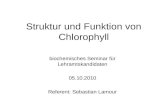 Struktur und Funktion von Chlorophyll biochemisches Seminar f¼r Lehramtskandidaten 05.10.2010 Referent: Sebastian Lamour