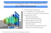 F. Uhlig, GSI Darmstadt, DPG Frühjahrstagung, München Test von Prototypen eines TR Detektors für das CBM-Experiment Fixed Target Experiment ca. 100 kHz/cm.