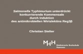 Salmonella Typhimurium unterdrückt konkurrierende Kommensale durch Induktion des antimikrobiellen Wirtslektins Reg3β Christian Stelter.